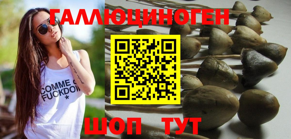 Галлюциногенные грибы Psilocybine cubensis  купить наркотик  Вход с VPN  Кореновск  Галлюциногенные грибы MAGIC MUSHROOMS 